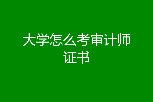 大学怎么考审计师证书