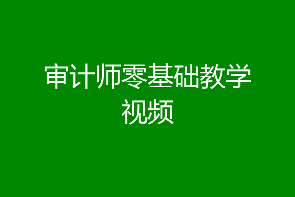 审计师零基础教学视频