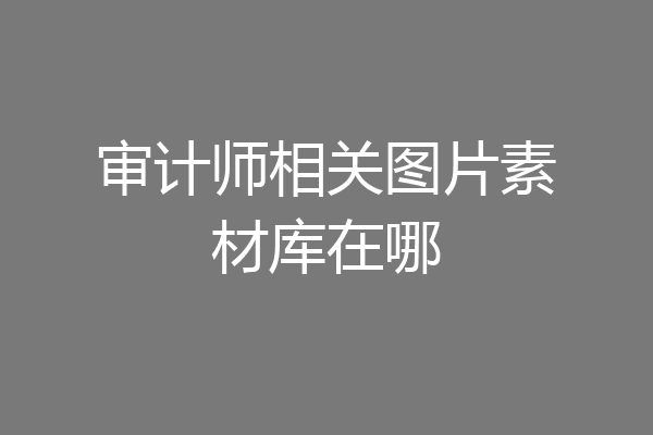 审计师相关图片素材库在哪