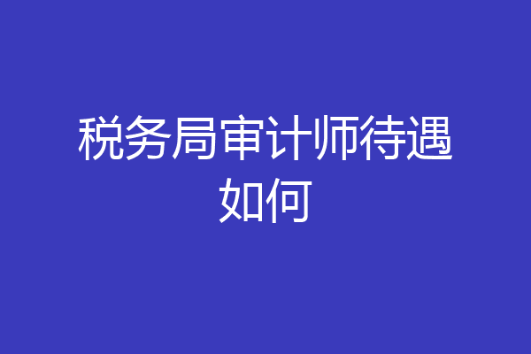 税务局审计师待遇如何