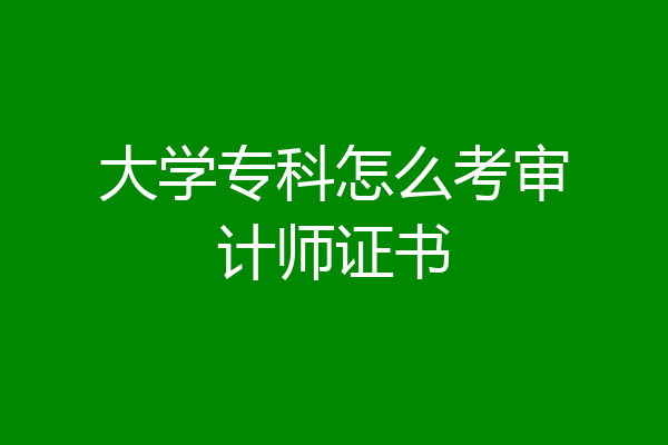 大学专科怎么考审计师证书