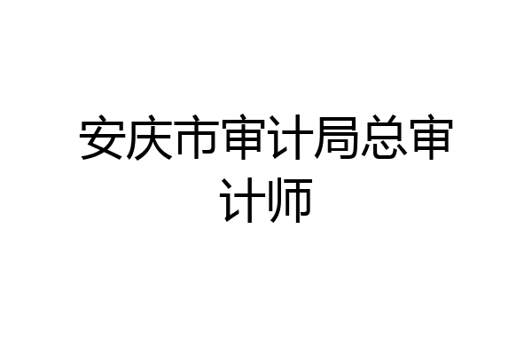安庆市审计局总审计师