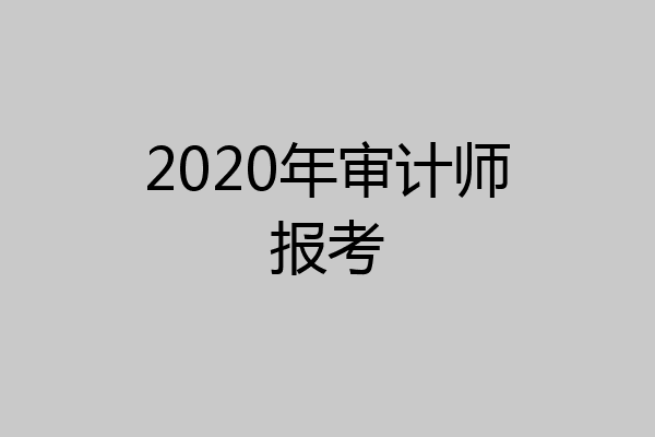 2020年审计师报考
