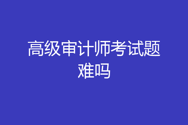 高级审计师考试题难吗
