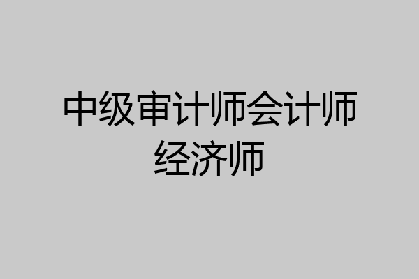中级审计师会计师经济师