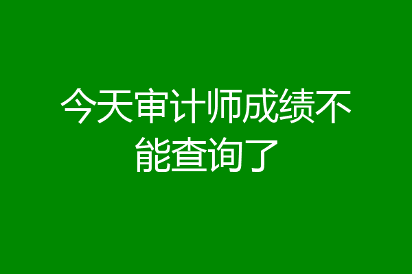 今天审计师成绩不能查询了