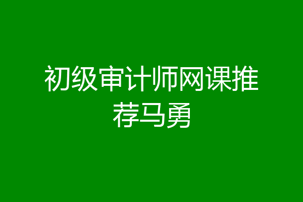 初级审计师网课推荐马勇