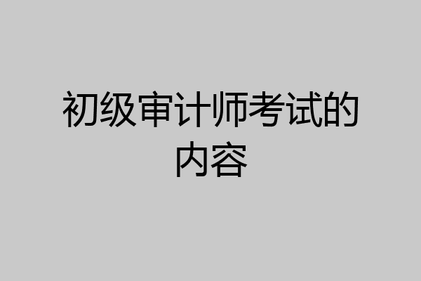 初级审计师考试的内容