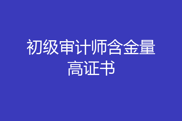初级审计师含金量高证书