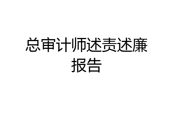 总审计师述责述廉报告