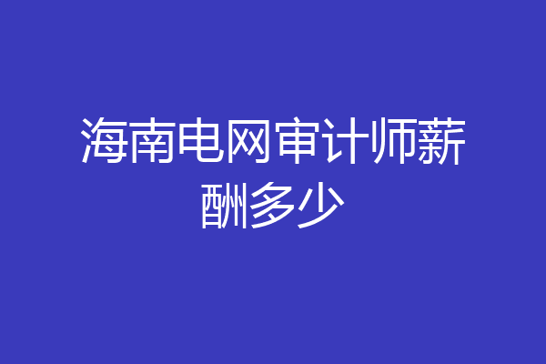 海南电网审计师薪酬多少