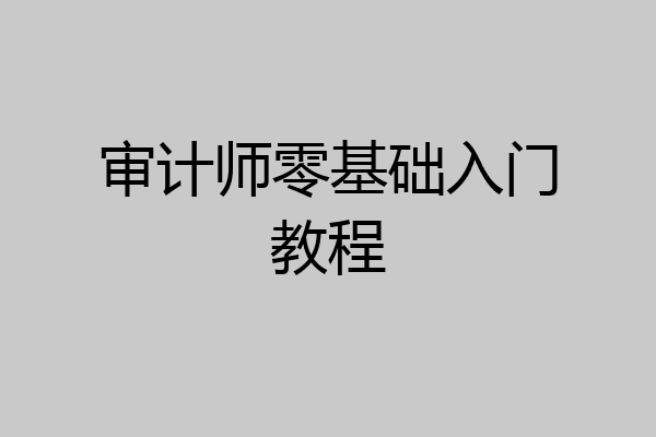 审计师零基础入门教程