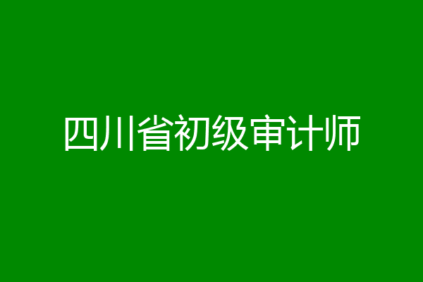 四川省初级审计师