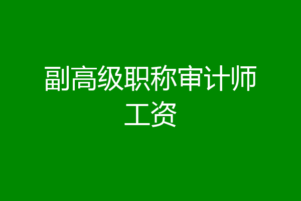 副高级职称审计师工资