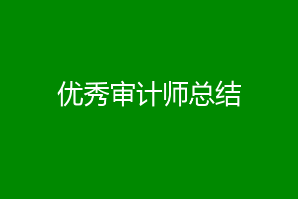 优秀审计师总结