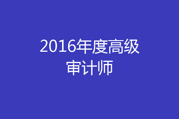 2016年度高级审计师