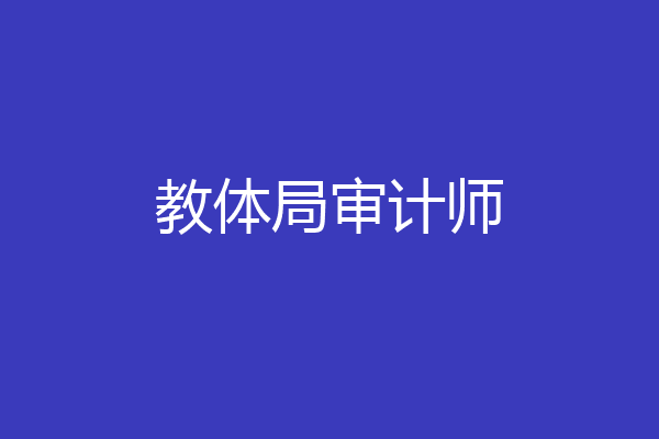 教体局审计师