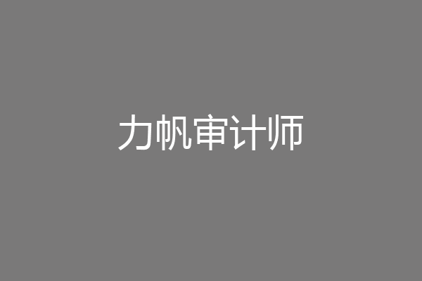 力帆审计师