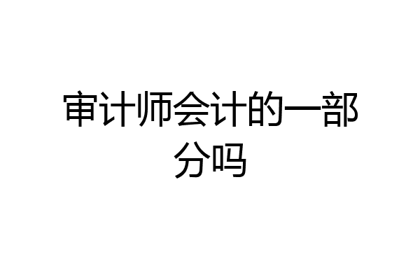 审计师会计的一部分吗