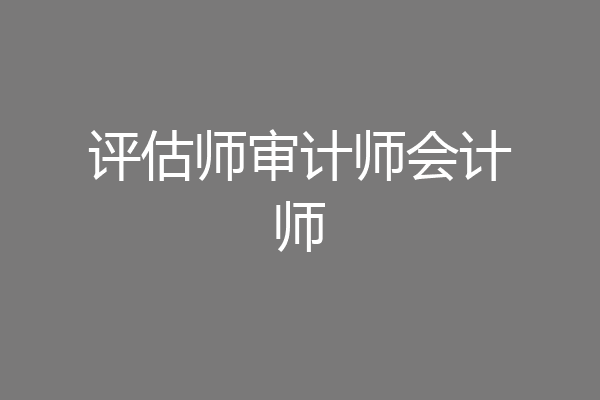 评估师审计师会计师