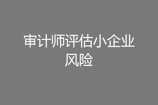 审计师评估小企业风险