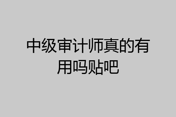 中级审计师真的有用吗贴吧