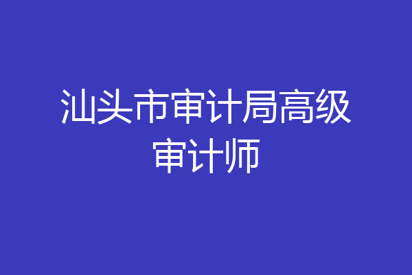 汕头市审计局高级审计师