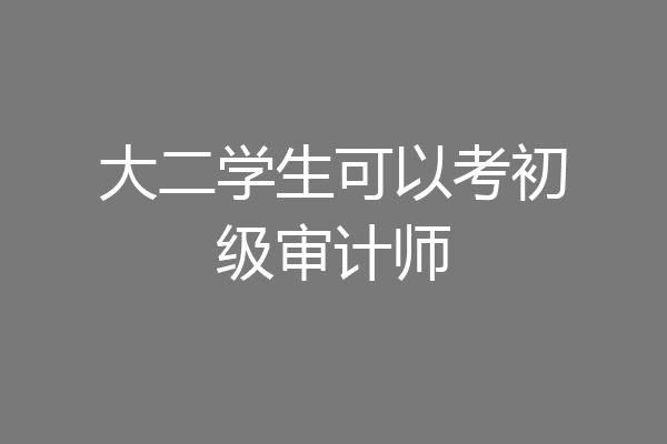 大二学生可以考初级审计师