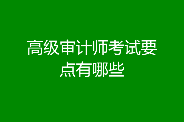 高级审计师考试要点有哪些