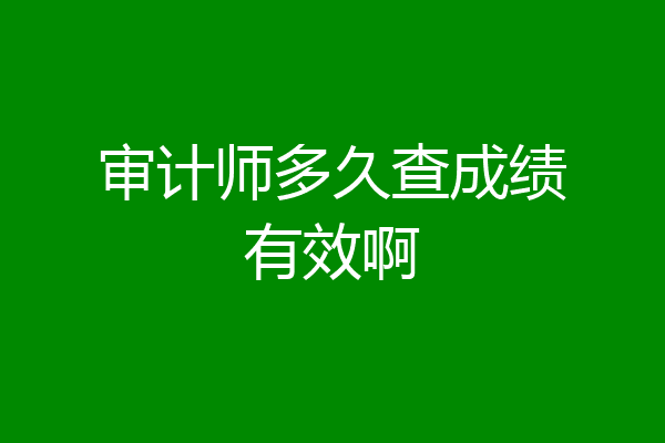 审计师多久查成绩有效啊