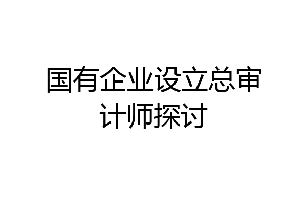 国有企业设立总审计师探讨