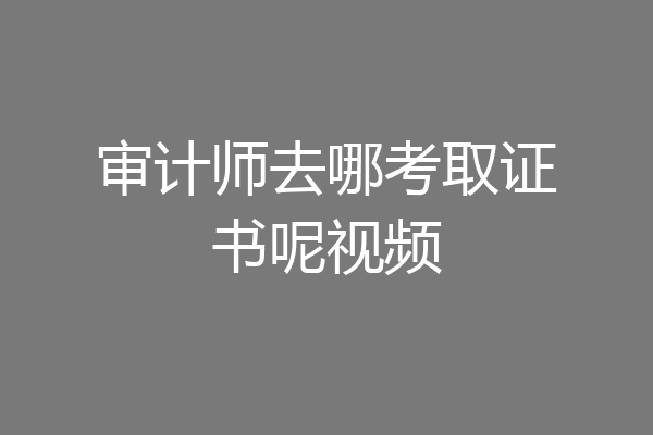 审计师去哪考取证书呢视频