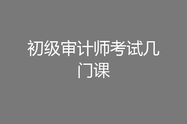 初级审计师考试几门课