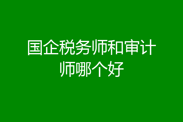 国企税务师和审计师哪个好
