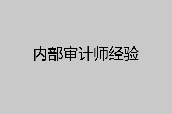 内部审计师经验