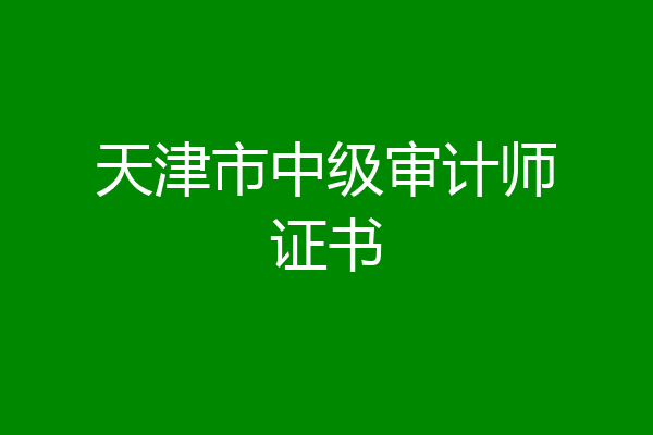 天津市中级审计师证书