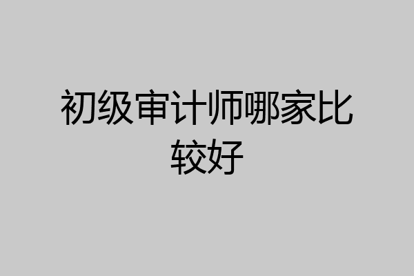 初级审计师哪家比较好