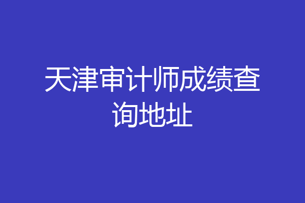 天津审计师成绩查询地址
