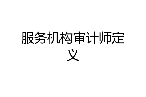 服务机构审计师定义