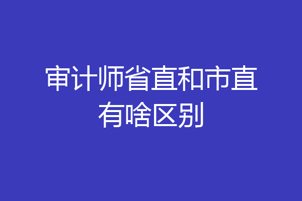 审计师省直和市直有啥区别