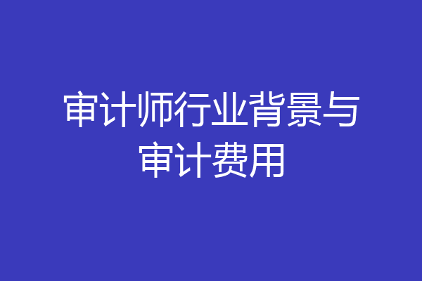 审计师行业背景与审计费用