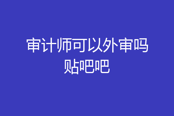 审计师可以外审吗贴吧吧