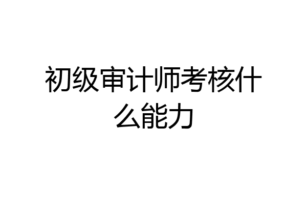 初级审计师考核什么能力