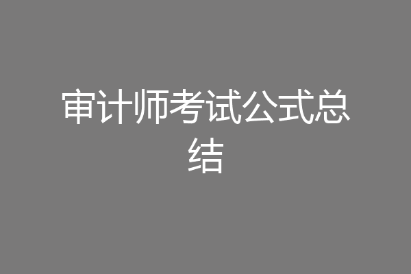 审计师考试公式总结