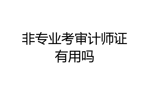 非专业考审计师证有用吗