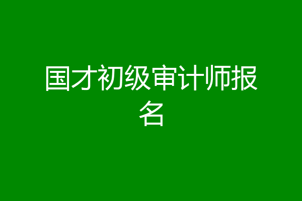 国才初级审计师报名