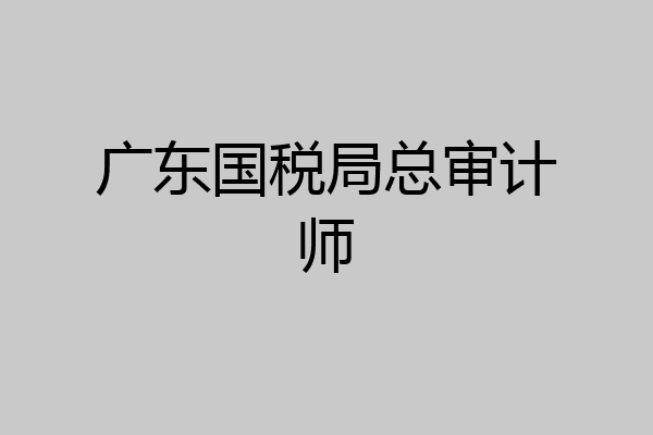 广东国税局总审计师