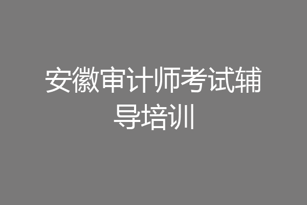 安徽审计师考试辅导培训