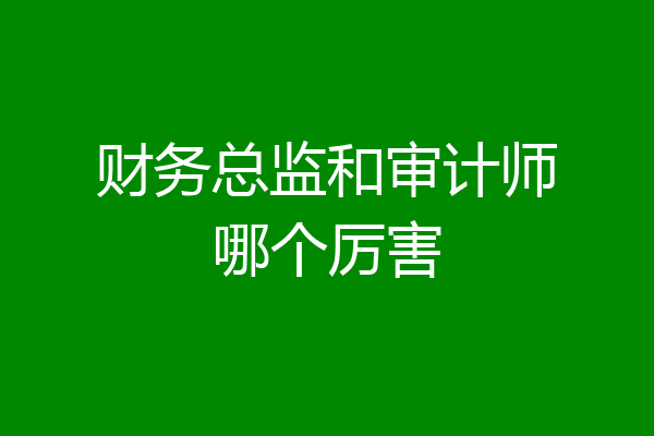 财务总监和审计师哪个厉害