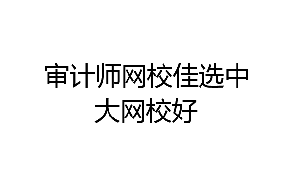 审计师网校佳选中大网校好